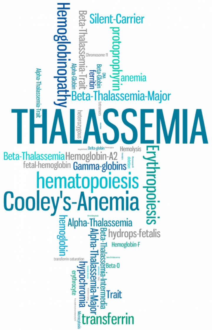 THALASSEMIA